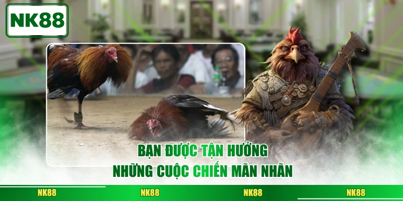 Bạn được tận hưởng những cuộc chiến mãn nhãn