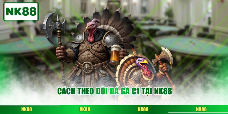 Cách theo dõi đá gà C1 tại NK88