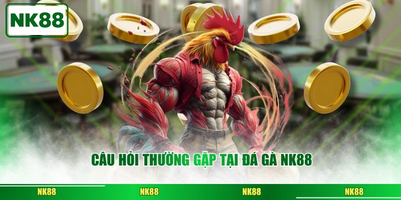 Câu hỏi thường gặp tại đá gà NK88