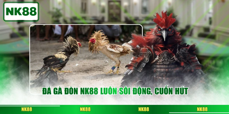 Đá gà đòn NK88 luôn sôi động, cuốn hút
