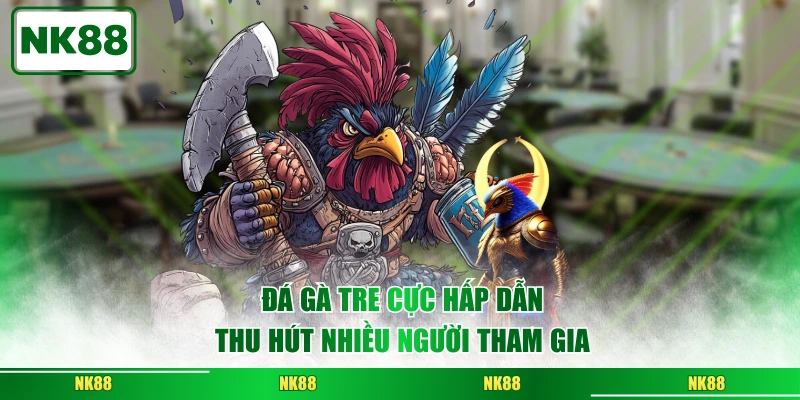 Đá gà tre cực hấp dẫn thu hút nhiều người tham gia