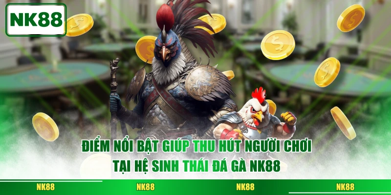 Điểm nổi bật giúp thu hút người chơi tại hệ sinh thái đá gà NK88