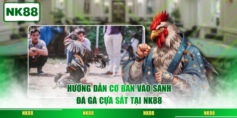 Tips khi tham gia đá gà cựa sắt tại NK88