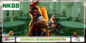 Mẹo Cược Đá Gà - Cách Lựa Chọn Chiến Kê Luôn Thắng