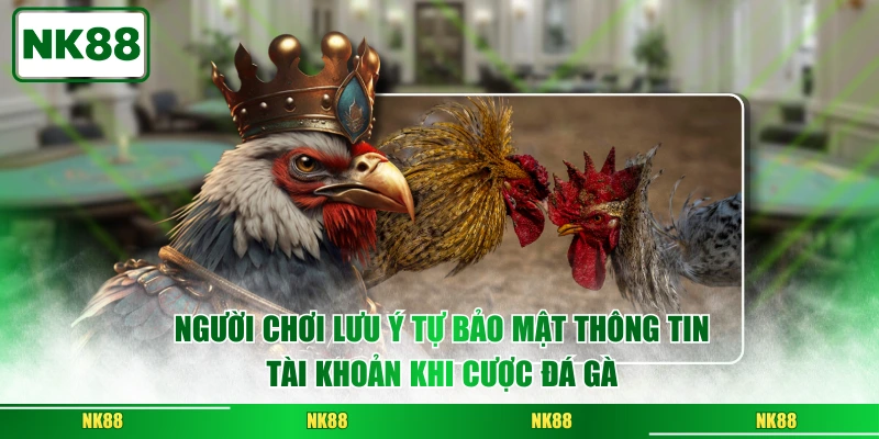 Người chơi lưu ý tự bảo mật thông tin tài khoản khi cược đá gà