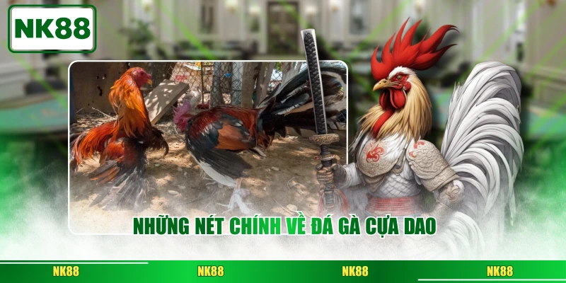Những Nét Chính Về Đá Gà Cựa Dao